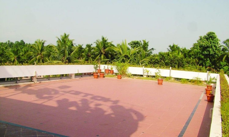 Terrace Garden
