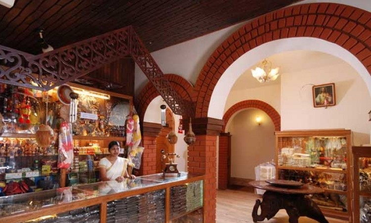 Curio Shop Curio Shop