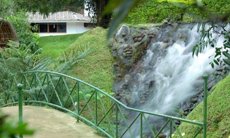 Falls Falls