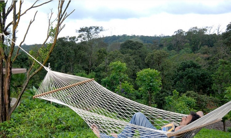 Hammock Hammock