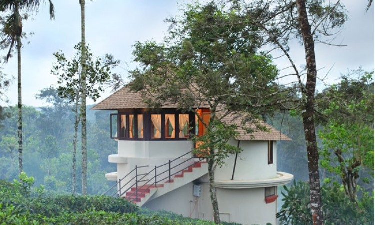 Honey Moon Cottage Honey Moon Cottage