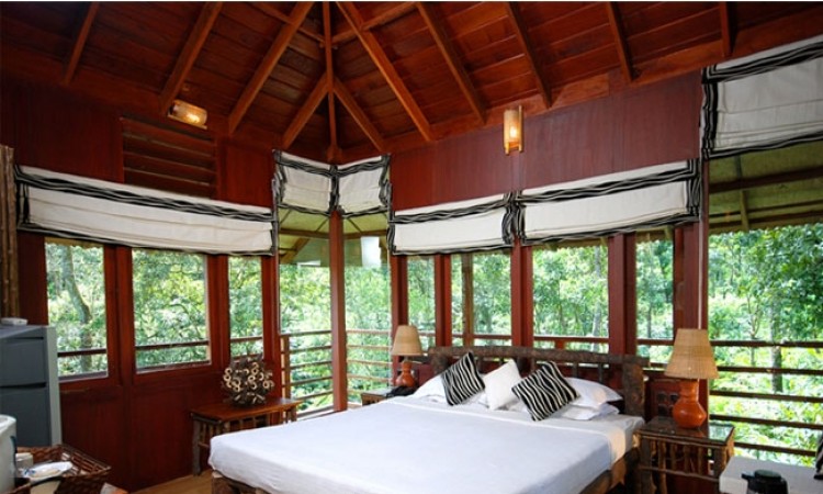 Tree House Interior Tree House Interior