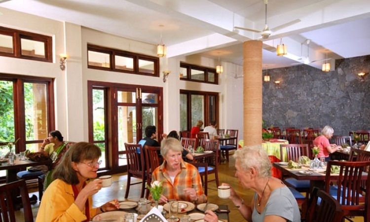 Restaurant Interior Restaurant Interior
