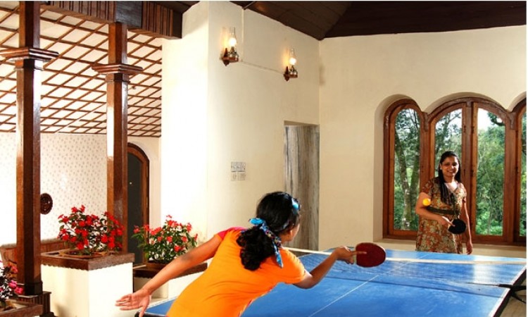 Table Tennis Table Tennis