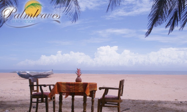Dining by the beach