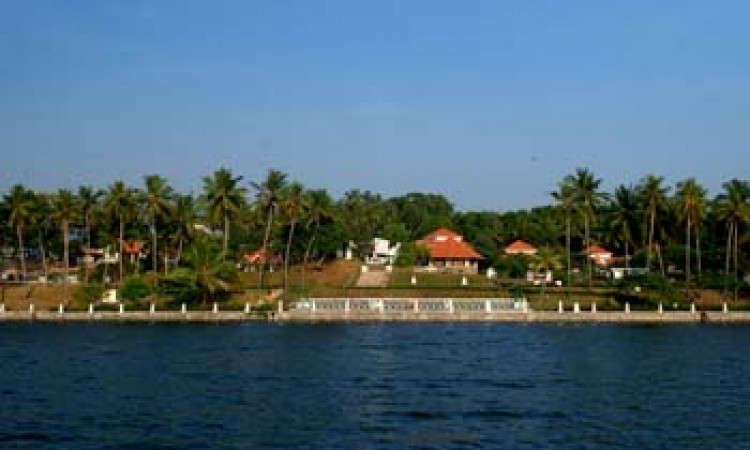 Lake View Lake View