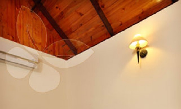 Elegant Luxury Room Elegant Luxury Room