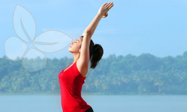 Yoga Yoga