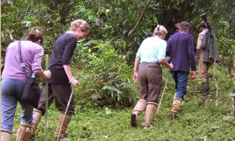 Trekking Trekking