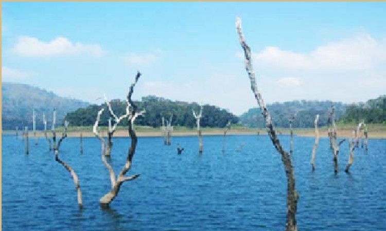 Thekkady Lake View Thekkady Lake View