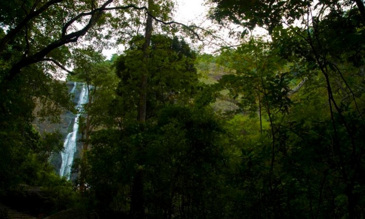 Falls Falls