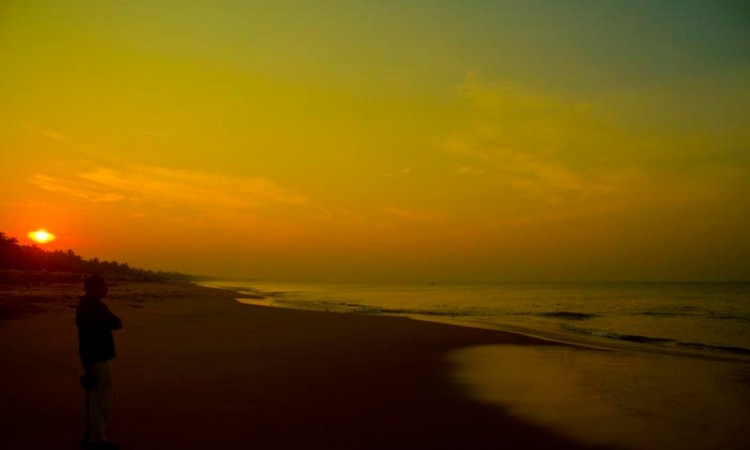 Sunset View Sunset View