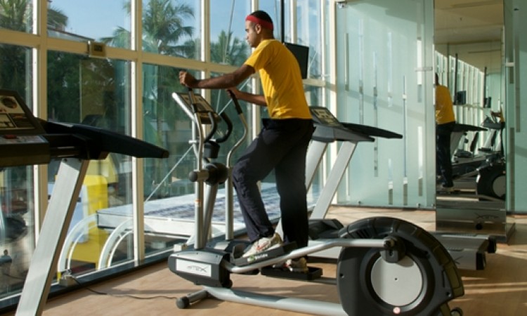 Indoor Exercise in Nature at the Gym Indoor Exercise in Nature at the Gym
