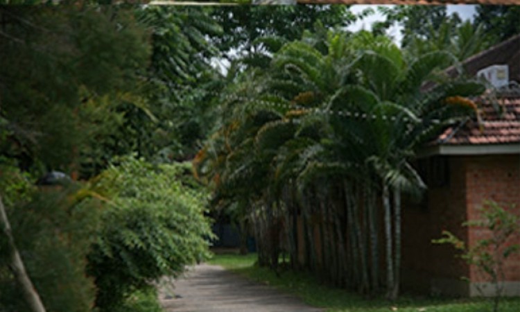 Eco friendly resort