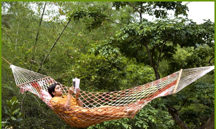 Hammock
