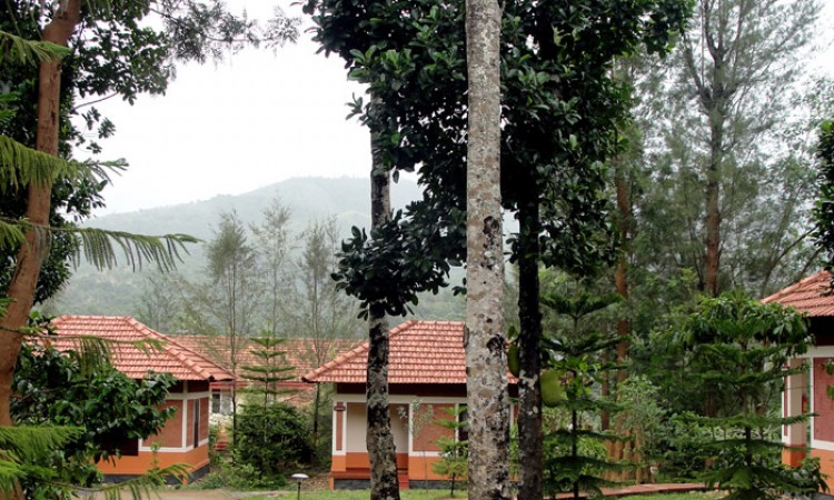 Mountain View from the Rooms