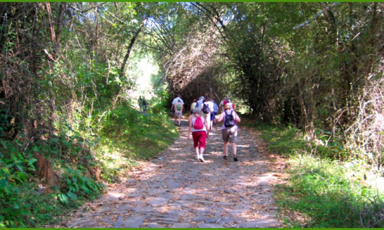 Trekking