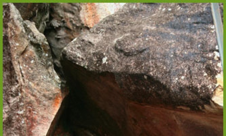 The Edakkal Caves