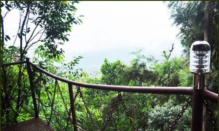 Tree House View from Passage