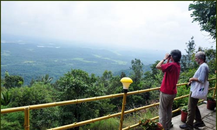 View from Deluxe Cottage