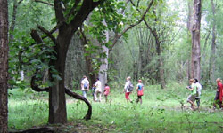 Nature Walk