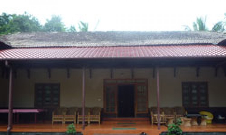 Resort View
