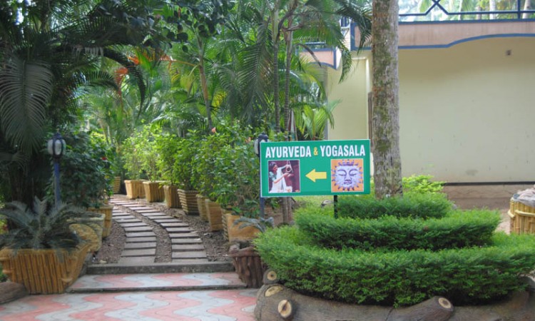 Ayurveda and Yogasala