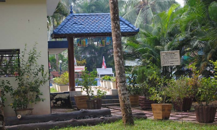 Ayurveda Centre and Swimming pool