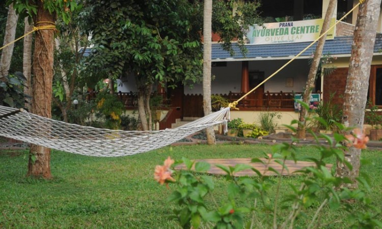 By the Ayurveda Centre