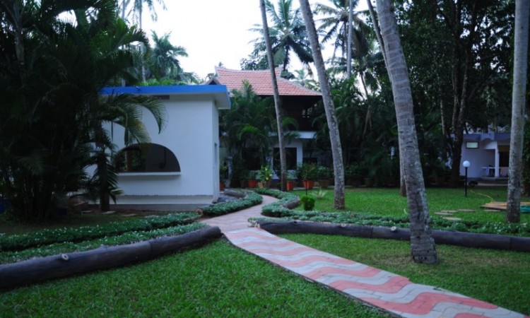 Dense palm groove