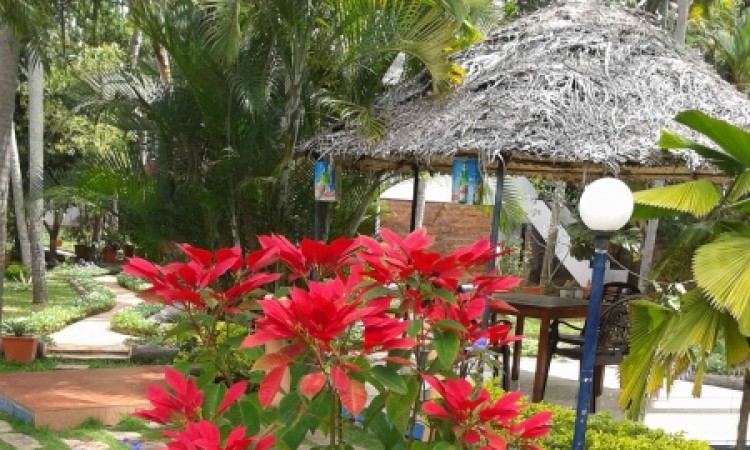 Flowery Garden