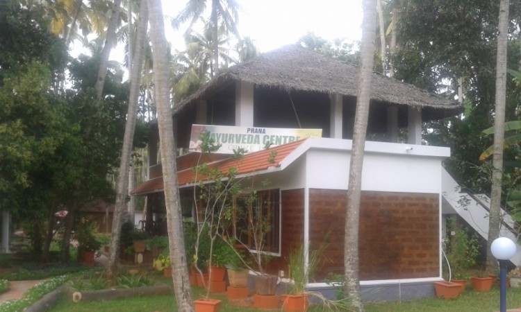 Prana Ayurveda Centre