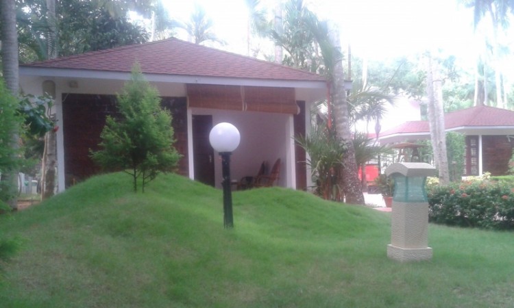 Undulating lawn