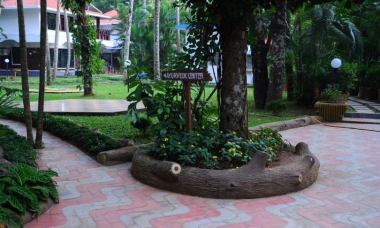 Way to Ayurvedic Centre