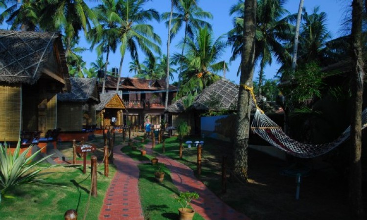 Hammock