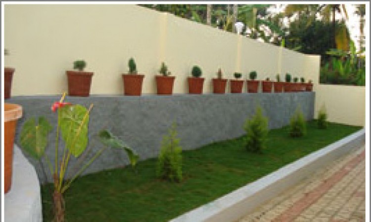 Lawn