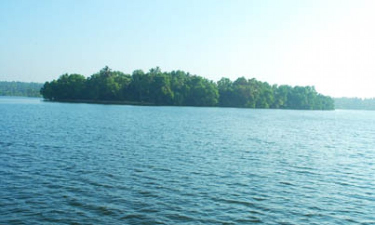 Backwaters