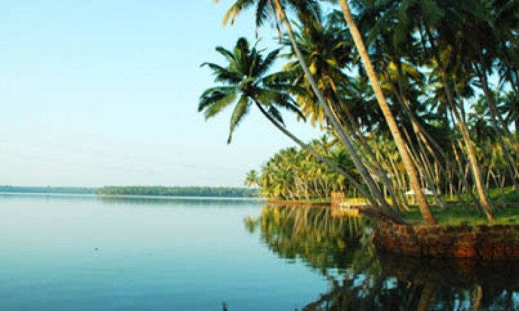 Palm Grooves