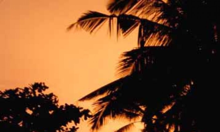 Dawning Dusk