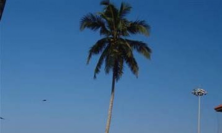 Golden Beach Resort