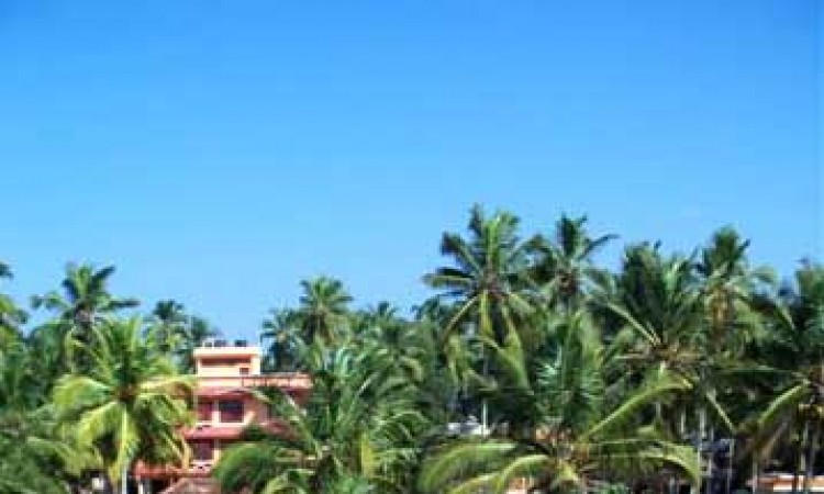 Guests within the premises