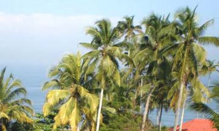 Panoramic view of the Varkala Beach