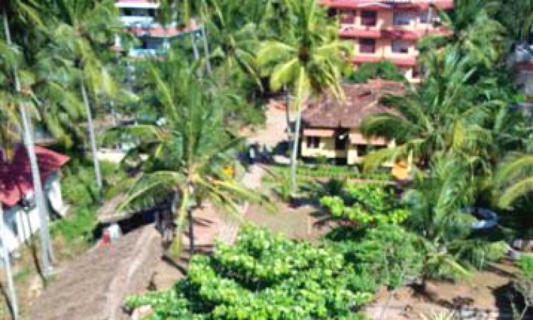 Top view of the resort