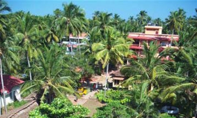 Top view of the resort 1