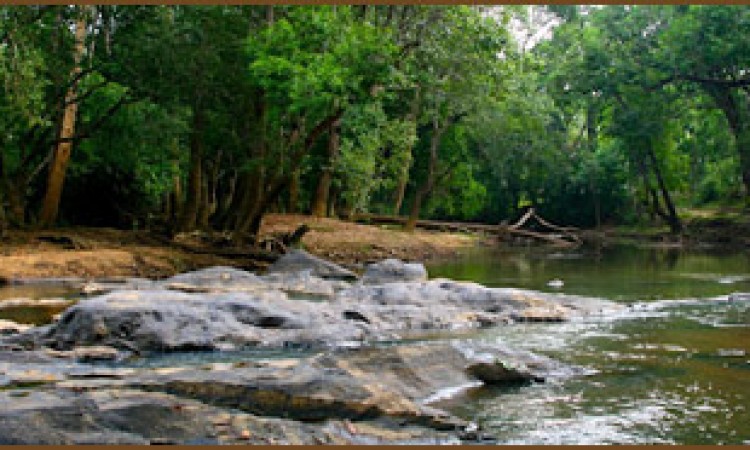 Lake at Olives Homestay