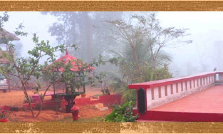 Olives Homestay