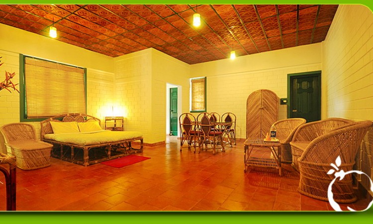 Suite Room
