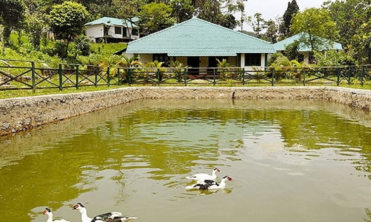Resort Lake