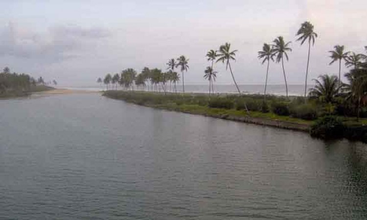 Bewitching Backwaters