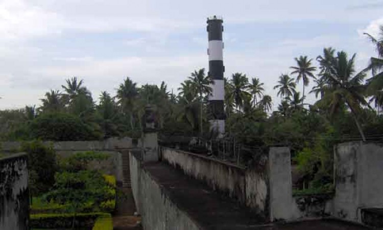 Palm Grooves